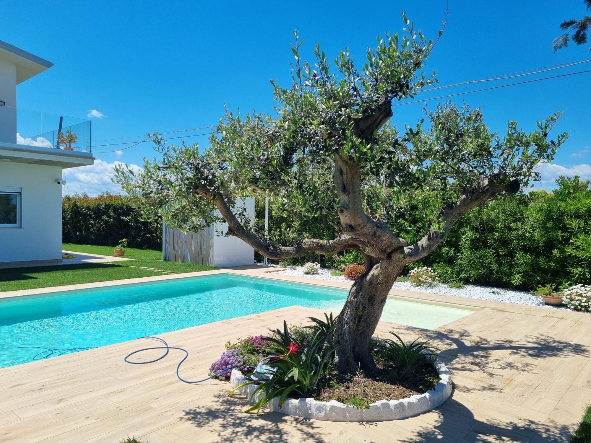 Carezza Del Mare Villa Torino di Sangro Eksteriør billede